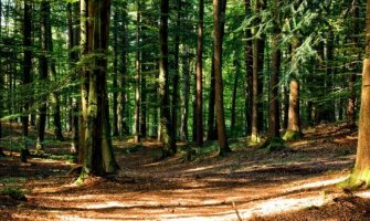 Koncesionari ove godine sve platili