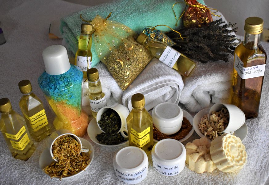 LidijaGiljenkorisnicaprojekta