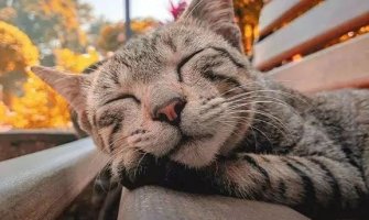 Sunčano i suvo, do 33 stepena