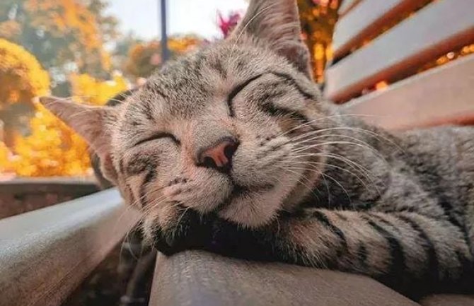 Sunčano i suvo, do 33 stepena