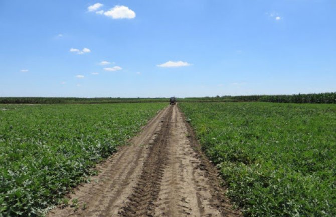 Za 1.392 poljoprivrednika isplaćene subvencije u iznosu od 332 hiljade eura 