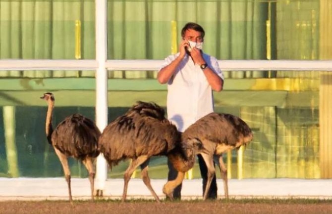 Brazilskog predsjednika u karantinu ugrizao noj 