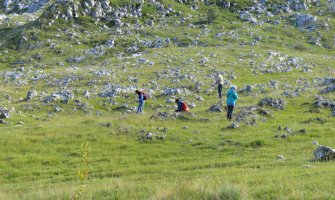 Utvrđuju nulto stanje na Sinjajevini