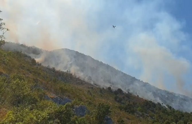 Bjelopoljski vatrogasci ugasili pet požara danas