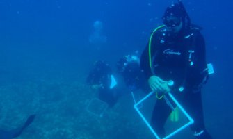 Monitoring morske trave Posidonia oceanica,  vrsta koju po m2 proizvodi više kiseonika od Amazonskih prašuma