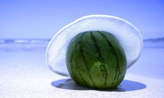 Danas sunčano i veoma toplo