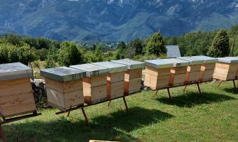 Nabavljena kvalitetna prihrana za pčele, pčelari na jugu će dobiti 4 kg po društvu, za sjeverni i centralni region po 2 kg