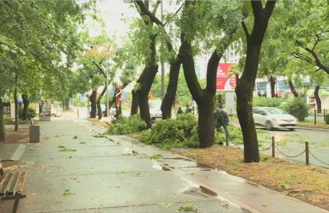 Jako nevrijeme pogodilo veći dio Crne Gore, u Podgorici vjetar polomio stabla, grane...