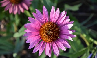 Promjenljivo oblačno, na sjeveru moguća kiša