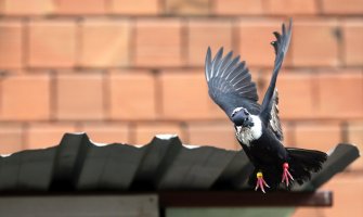 Pretežno sunčano i toplo, u drugom dijelu dana ponegdje moguća kiša