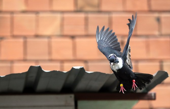 Pretežno sunčano i toplo, u drugom dijelu dana ponegdje moguća kiša