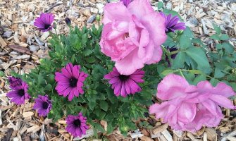 Sunčano i toplo, poslijepodne ponegdje kiša