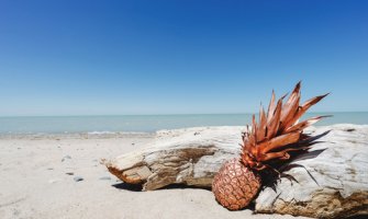 Promjenljivo oblačno, do 32 stepena