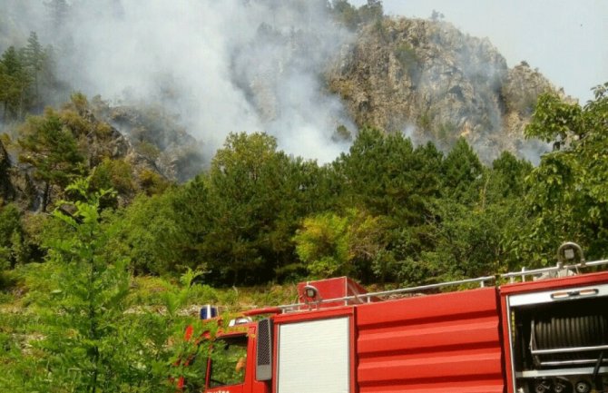 Požar na Višnjici, vatrogasci od jutros na terenu, tražili pomoć Direktorata za vanredne situacije