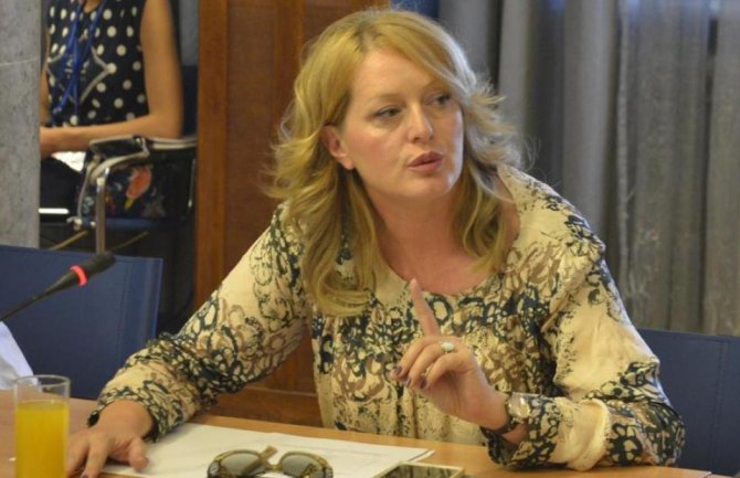 Bošnjak: Hitno formirati novo Nacionalno koordinaciono tijelo 