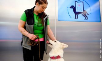 Helsinki: Na aerodromu psi otkrivaju koronavirus