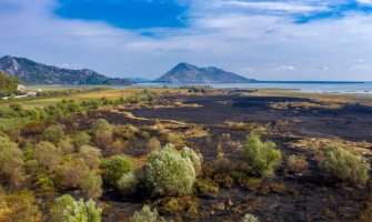 Opožarenom području će biti potrebne godine, pa čak i decenije za oporavak