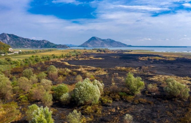 Opožarenom području će biti potrebne godine, pa čak i decenije za oporavak