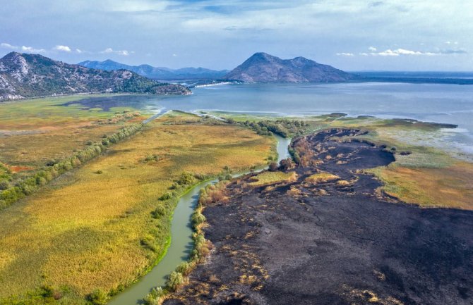 CZIP: Požar u NP Skadarsko jezero trajao 5 dana