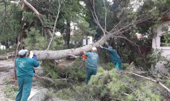Nevrijeme u Podgorici: Tokom noći oborena stabla, uništeno više automobila... (FOTO) 