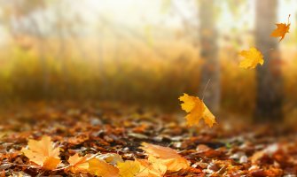 Promjenljivo oblačno, do 24 stepena