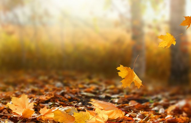 Promjenljivo oblačno, do 24 stepena