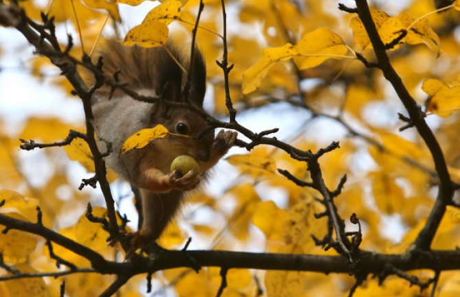Promjenljivo oblačno, ponegdje kiša