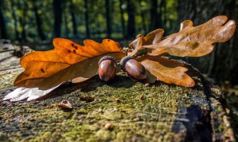 Promjenljivo oblačno sa sunčanim intervalima