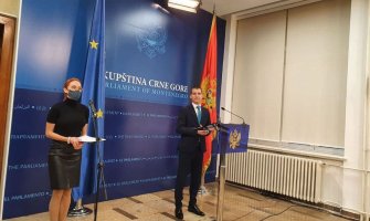 Bečić: Ono što je prihvatljivo za naše partnere i vjerske zajednice, prihvatljivo je i Demokratama