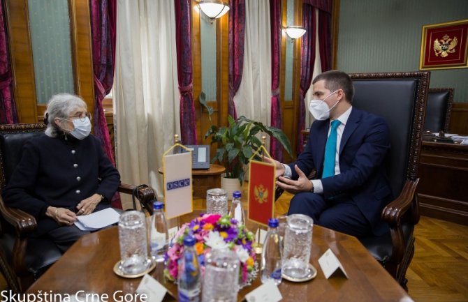 Misija OEBSa spremna da nastavi sa svojom podrškom Parlamentu 