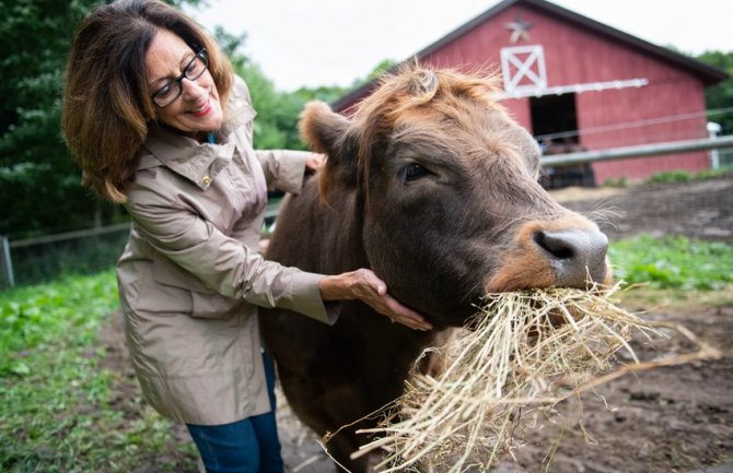 Novi wellness trend: Grljenje krava smanjuje stres, donosi vedrinu i osmjeh na lice