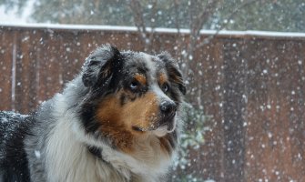 Narandžasti metealarm za centralni i južnio dio Crne Gore, na sjeveru moguć snijeg