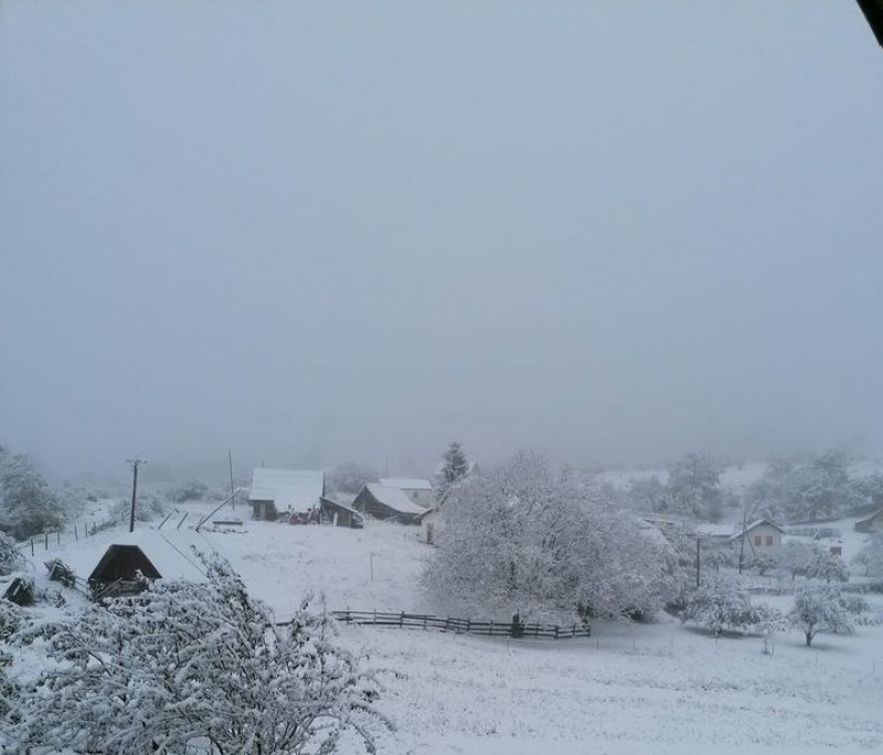 12152897734879202879138577213586187801164701o