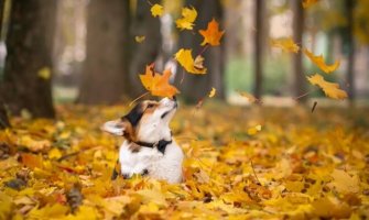 Danas sunčano i toplo, do 22 stepena