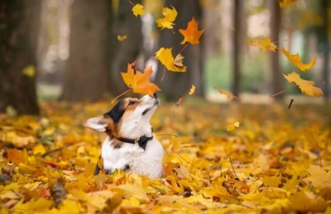 Danas sunčano i toplo, do 22 stepena