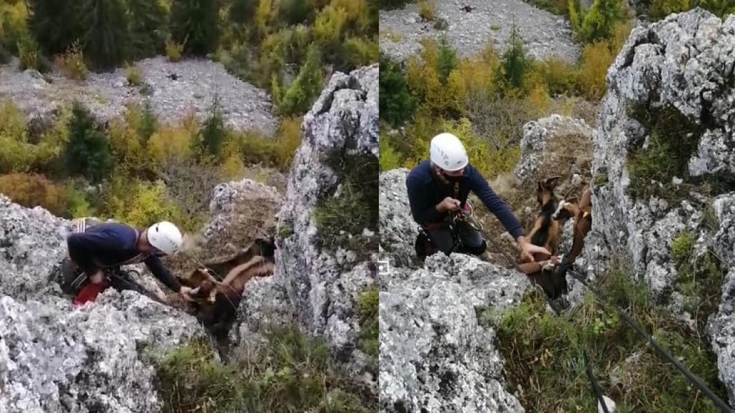 12179337110304223640357035836438914235505982n