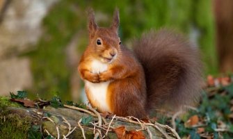 Za dane vikenda kiša, do 23 stepena