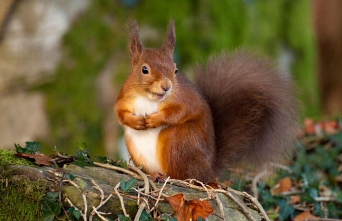 Za dane vikenda kiša, do 23 stepena