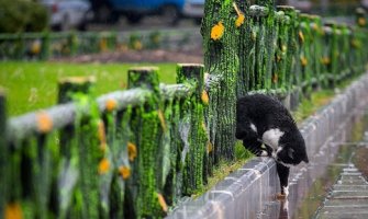 Pretežno sunčano uz umjerenu oblačnost, na sjeveru moguća kiša