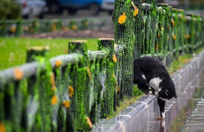 Pretežno sunčano uz umjerenu oblačnost, na sjeveru moguća kiša