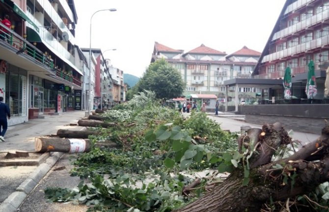 Pljevljaci čekaju skoro godinu dana na novi drvored u glavnoj ulici