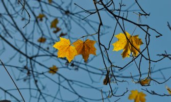 Sunčano za dane vikenda, do 23 stepena