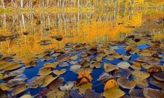 Sunčano i suvo, do 23 stepena