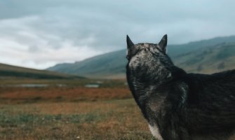 Pretežno sunčano i toplo, do 21 stepen