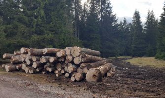 URA: Nova vlast će zaustaviti poharu i devastaciju šuma