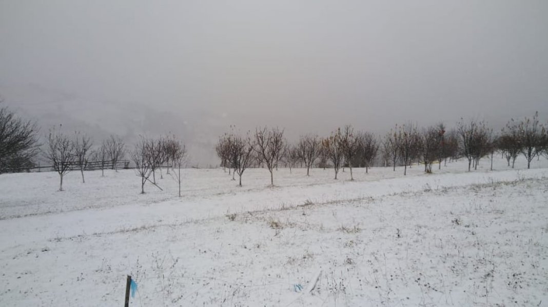 1268466618745214966896368028674817344857688n1