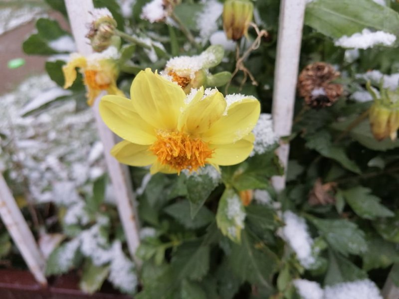 1262041961184641632561138352400183192791600n