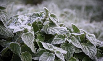 Promjenljivo oblačno, do 18 stepeni 