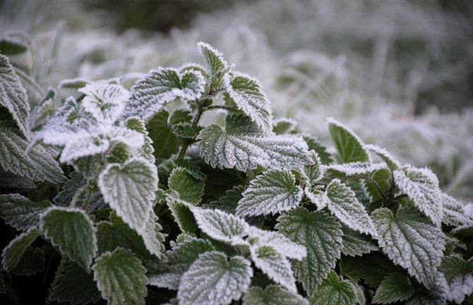 Promjenljivo oblačno, do 18 stepeni 