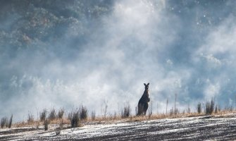 Veliki dio Australije zahvaćen ekstreminim toplotnim talasom, 